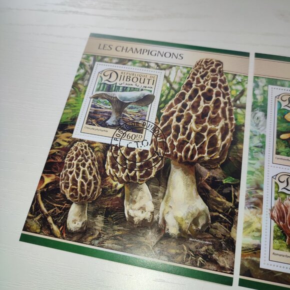 Academia Set 2 Stamp Souvenir Sheets Mushrooms Nature Collectible Djibouti 2017 - Picture 2 of 5